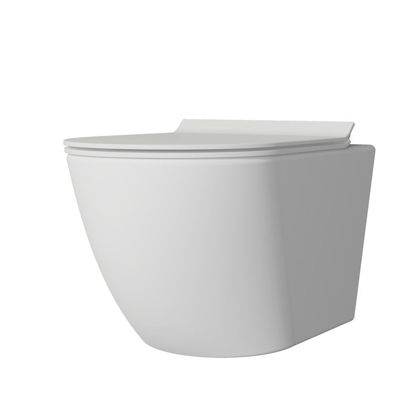 Edgar Wall Hung Toilet