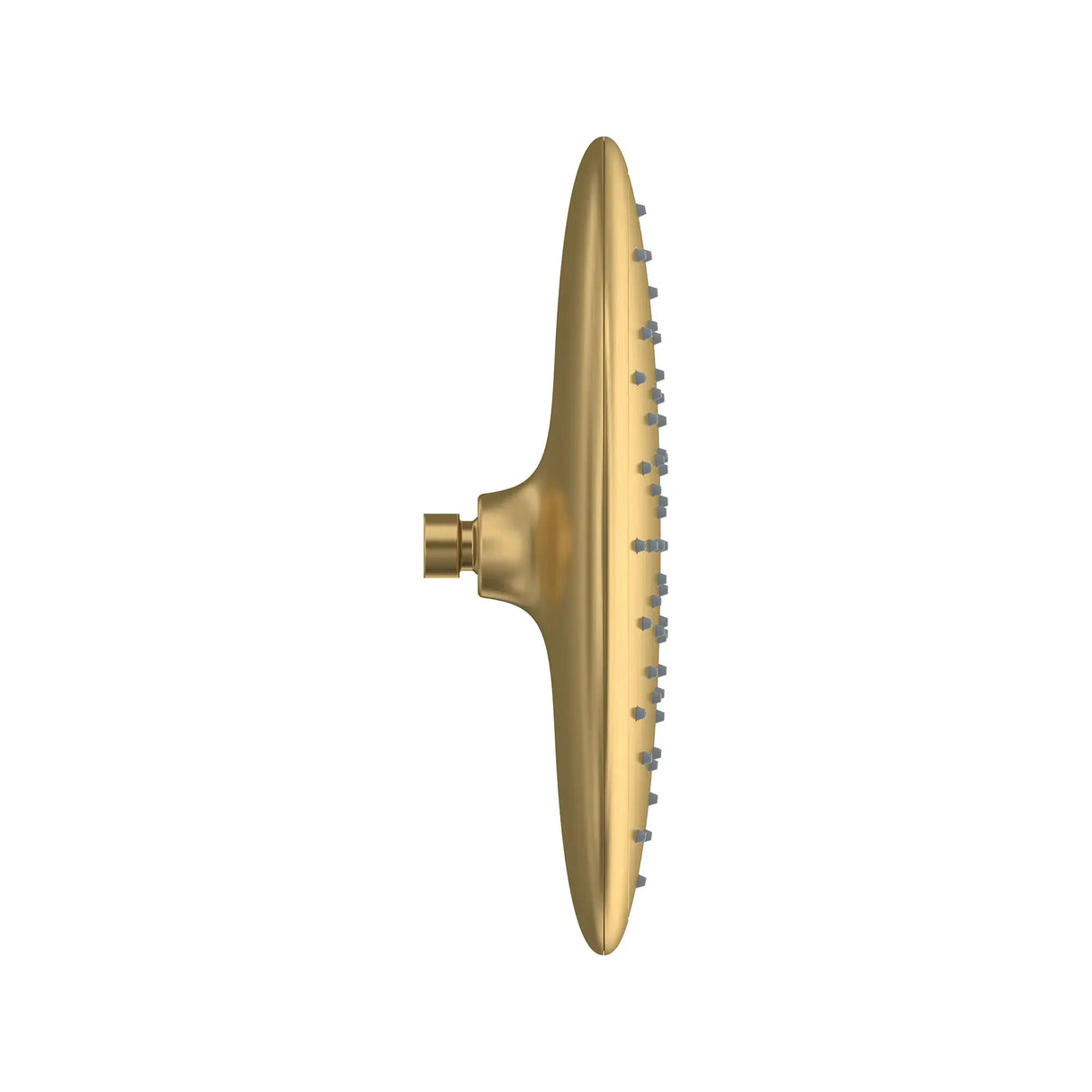 Spectra® Rain 11-Inch 1.8 gpm/6.8 L/min Water-Saving Rain Showerhead