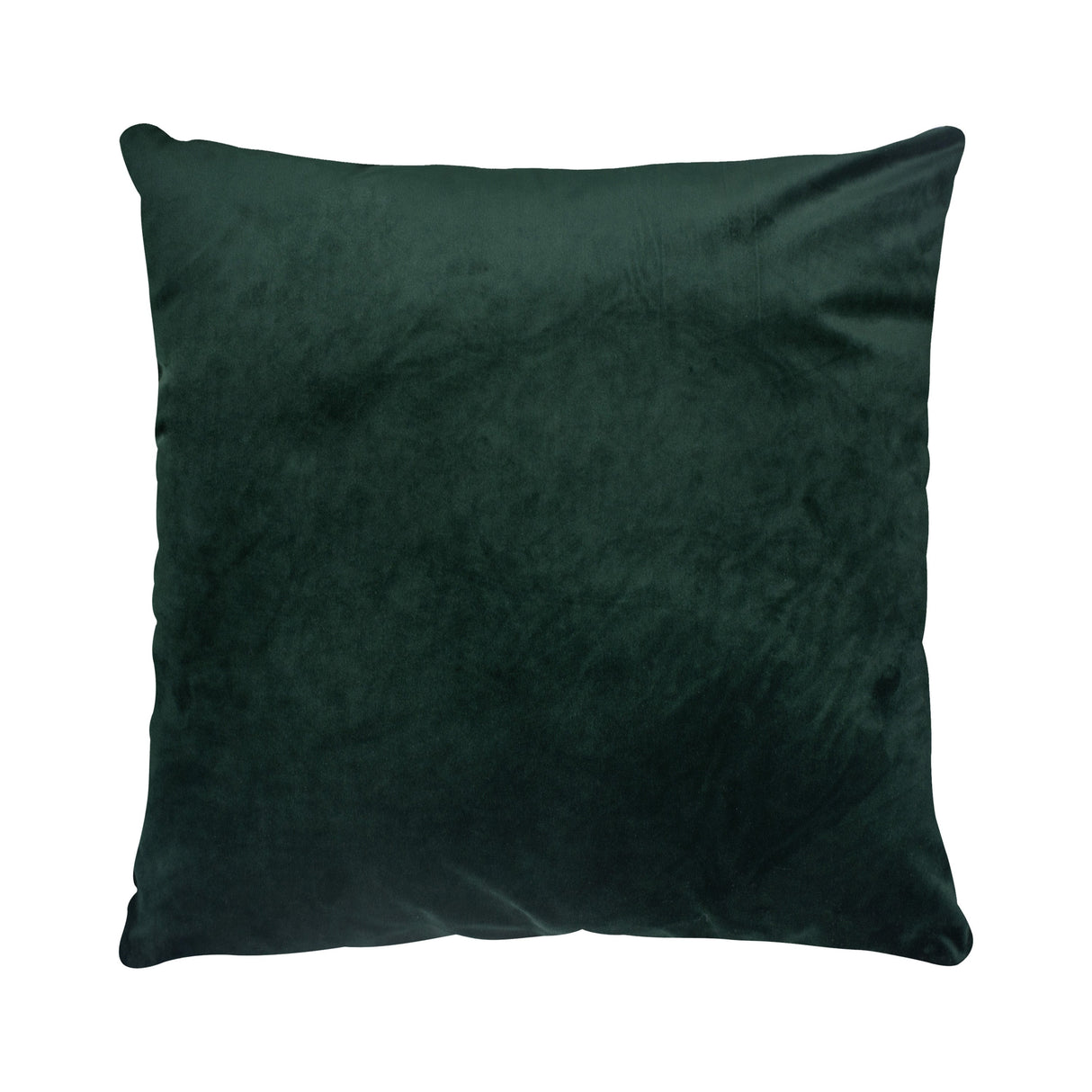 OLIVE 20 W x 20 H