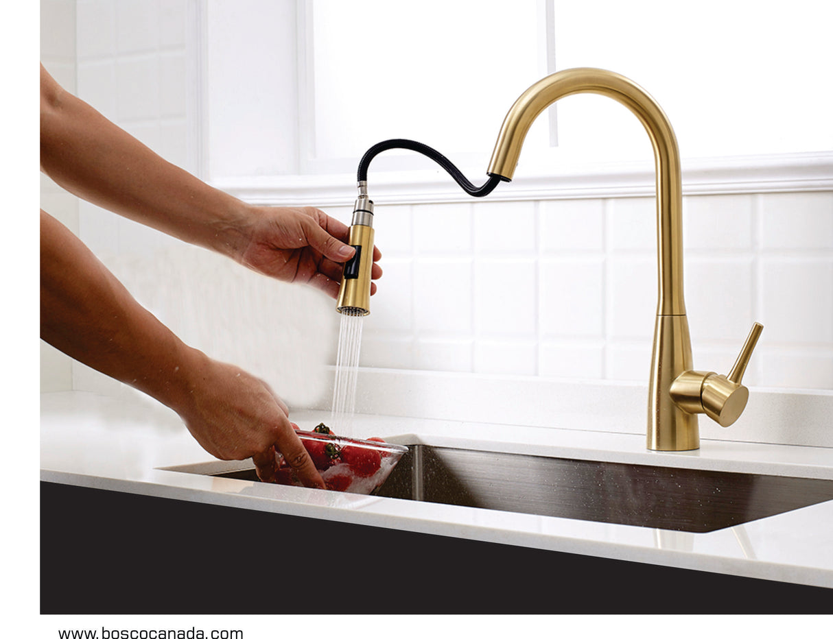 Bosco 200108GD Kitchen Faucet - image 1