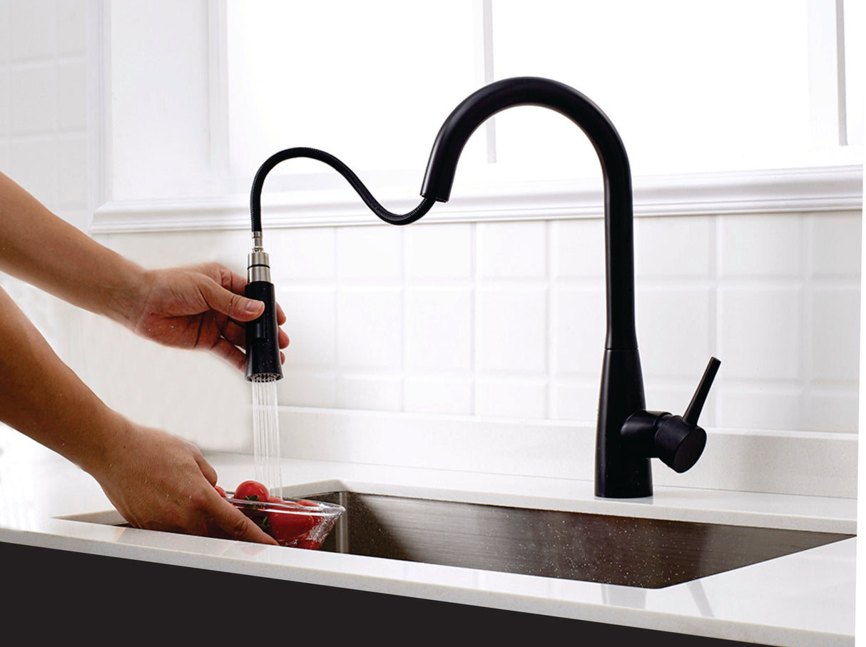 Bosco 200108BK Kitchen Faucet - image 1