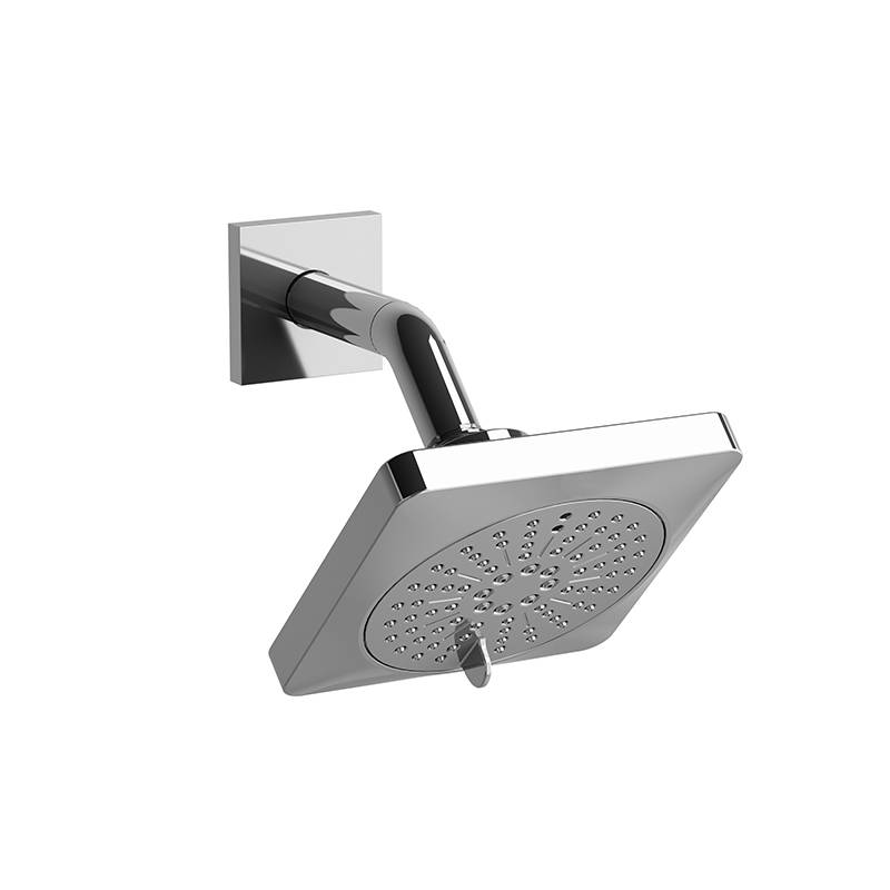 Shower/bath Components 2-jet Shower Head With Arm