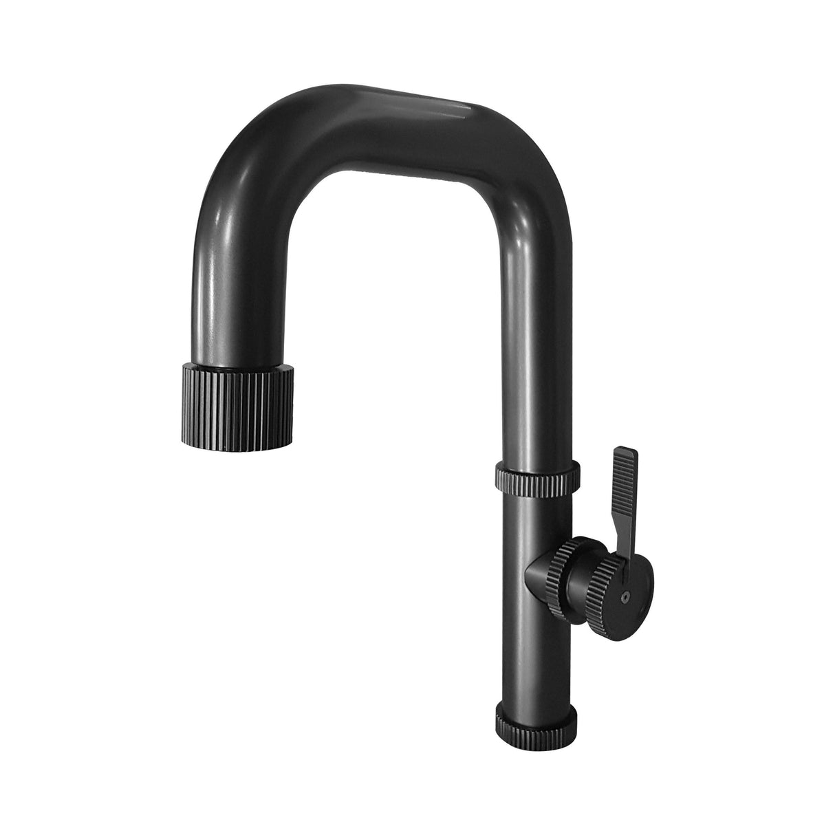 Raw Kitchen Faucet 400686GP