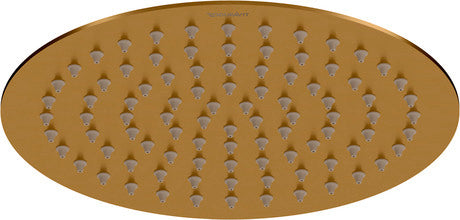 Showerhead 1jet 200