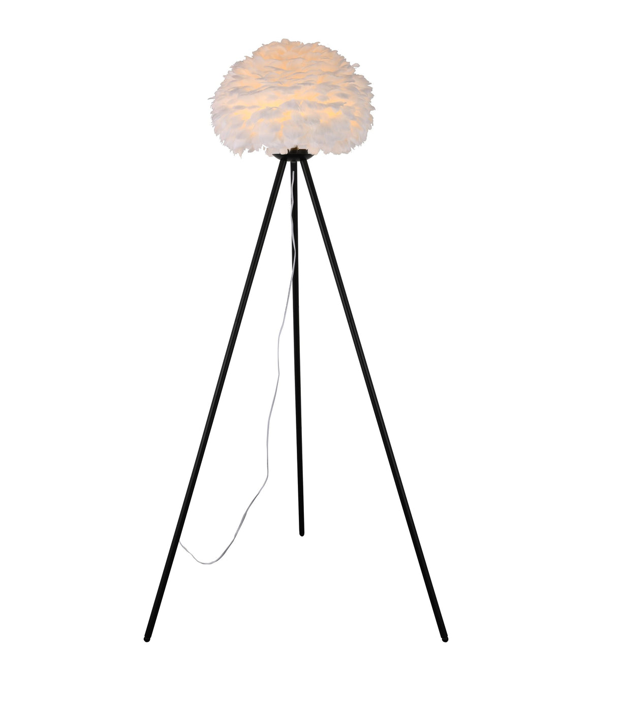Floor Lamp DLS23F17BW