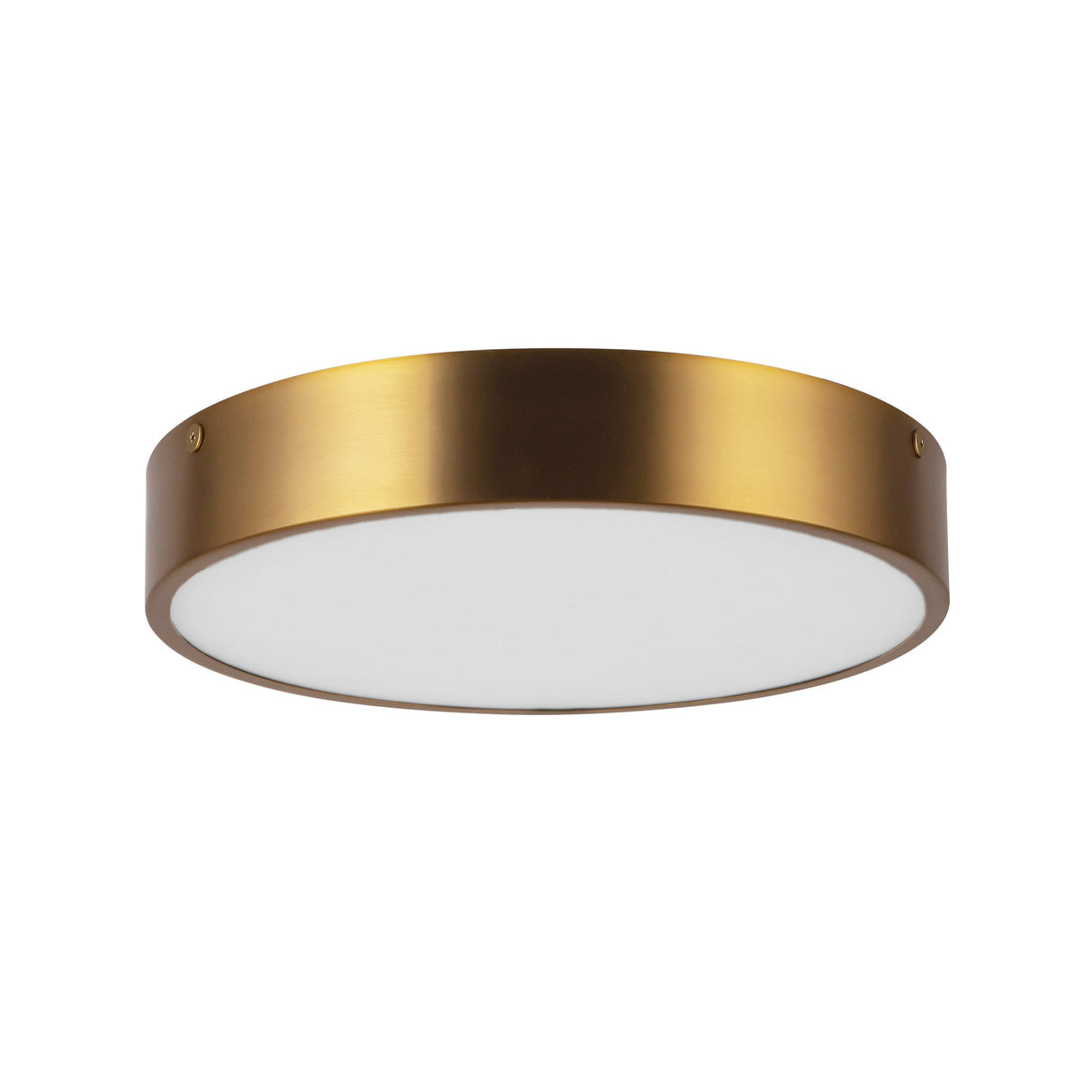 Alora Mood Adelaide 11-in Flush Mount