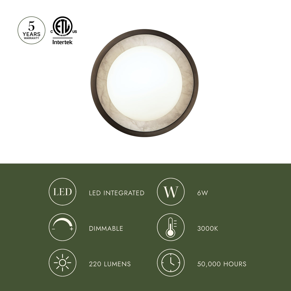 Alora Alonso 8-in Wall/Vanity Light