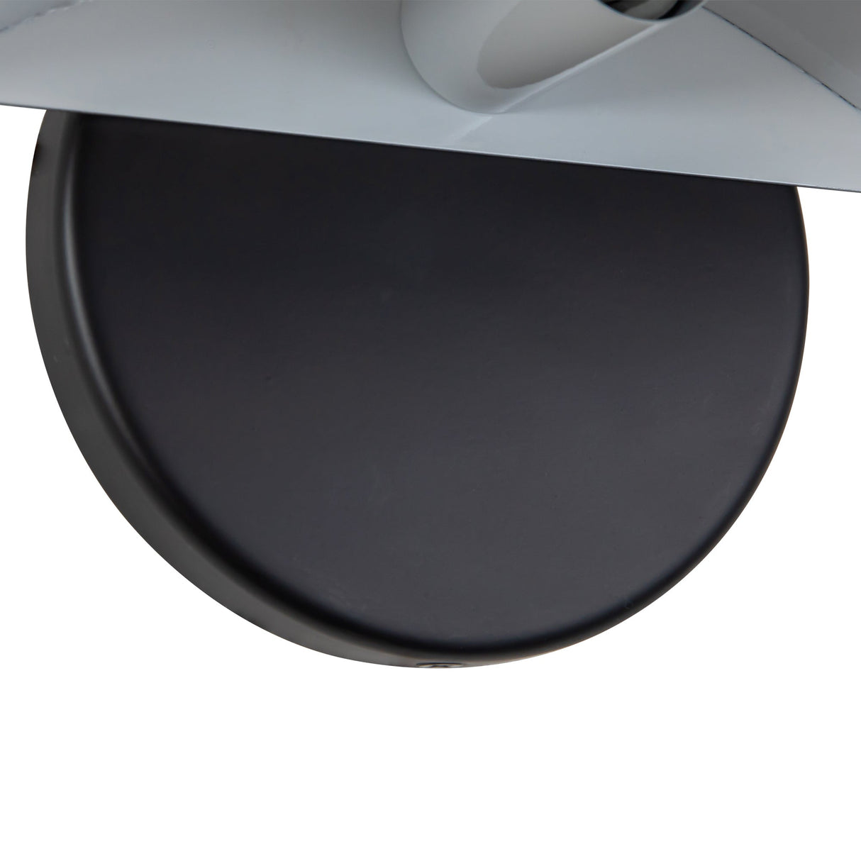 Alora Mood Ashford 8-in Wall Sconce