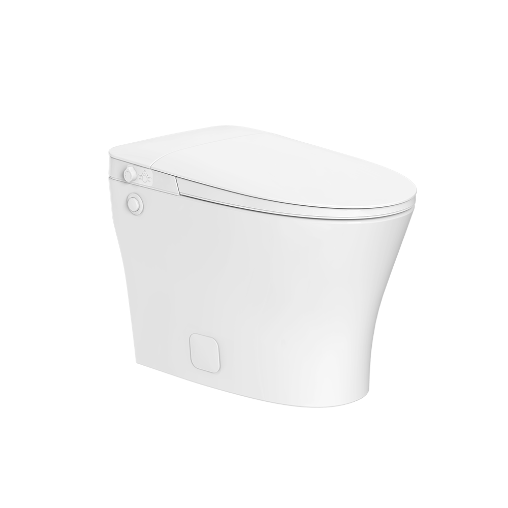 iWash CS-15 Non-Electric Bidet Toilet