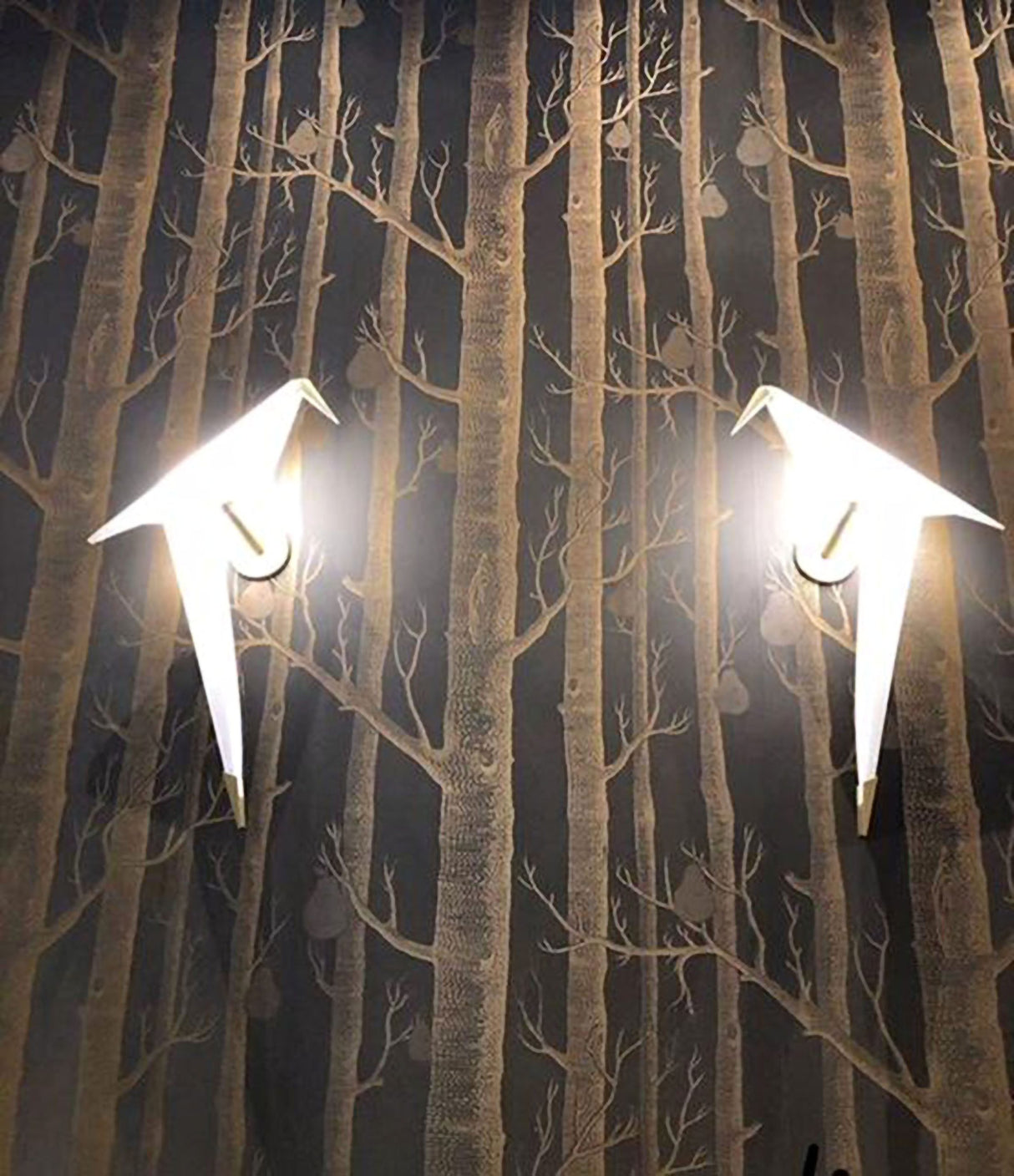 LED Wall Sconce SR14