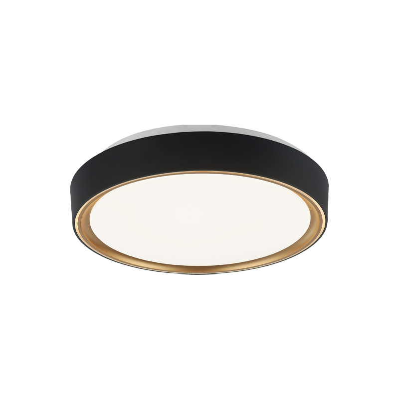 Matteo Ceiling Mount M10601BK