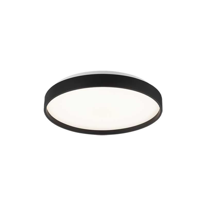 Matteo Ceiling Mount M10801