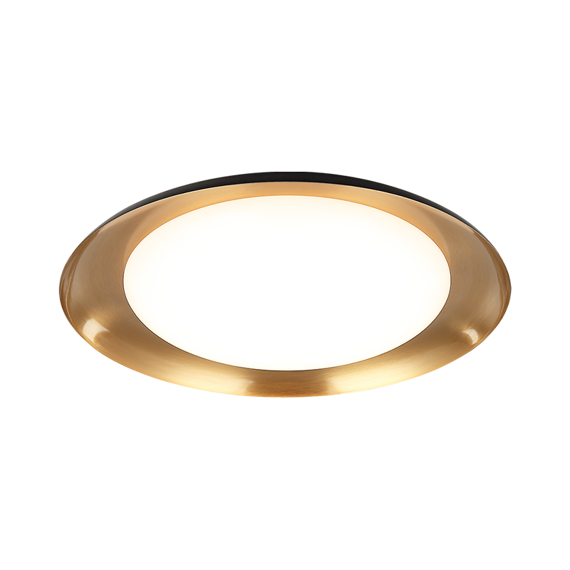 Matteo Ceiling Mount M12218BK
