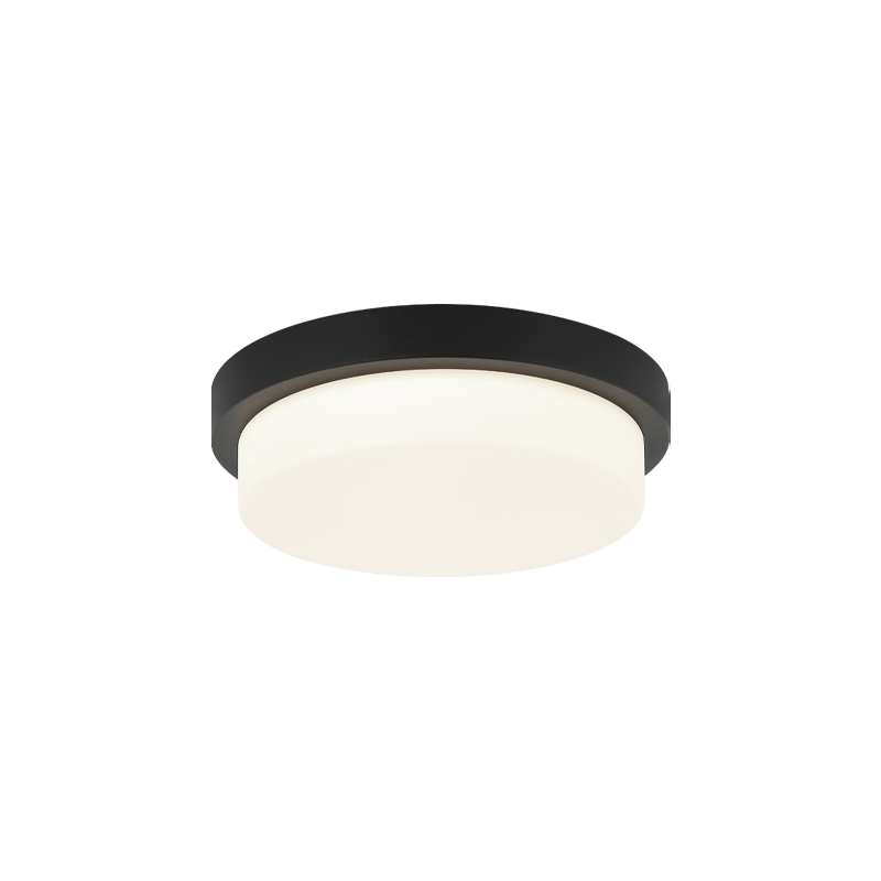 Matteo Ceiling Mount M15901