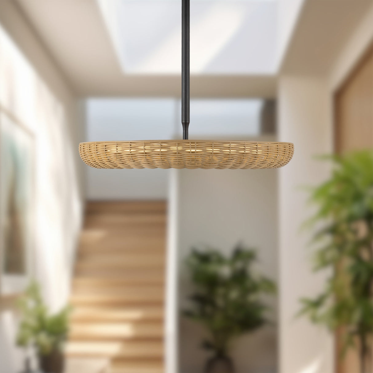 Alora Mood Maris 24-in Chandelier