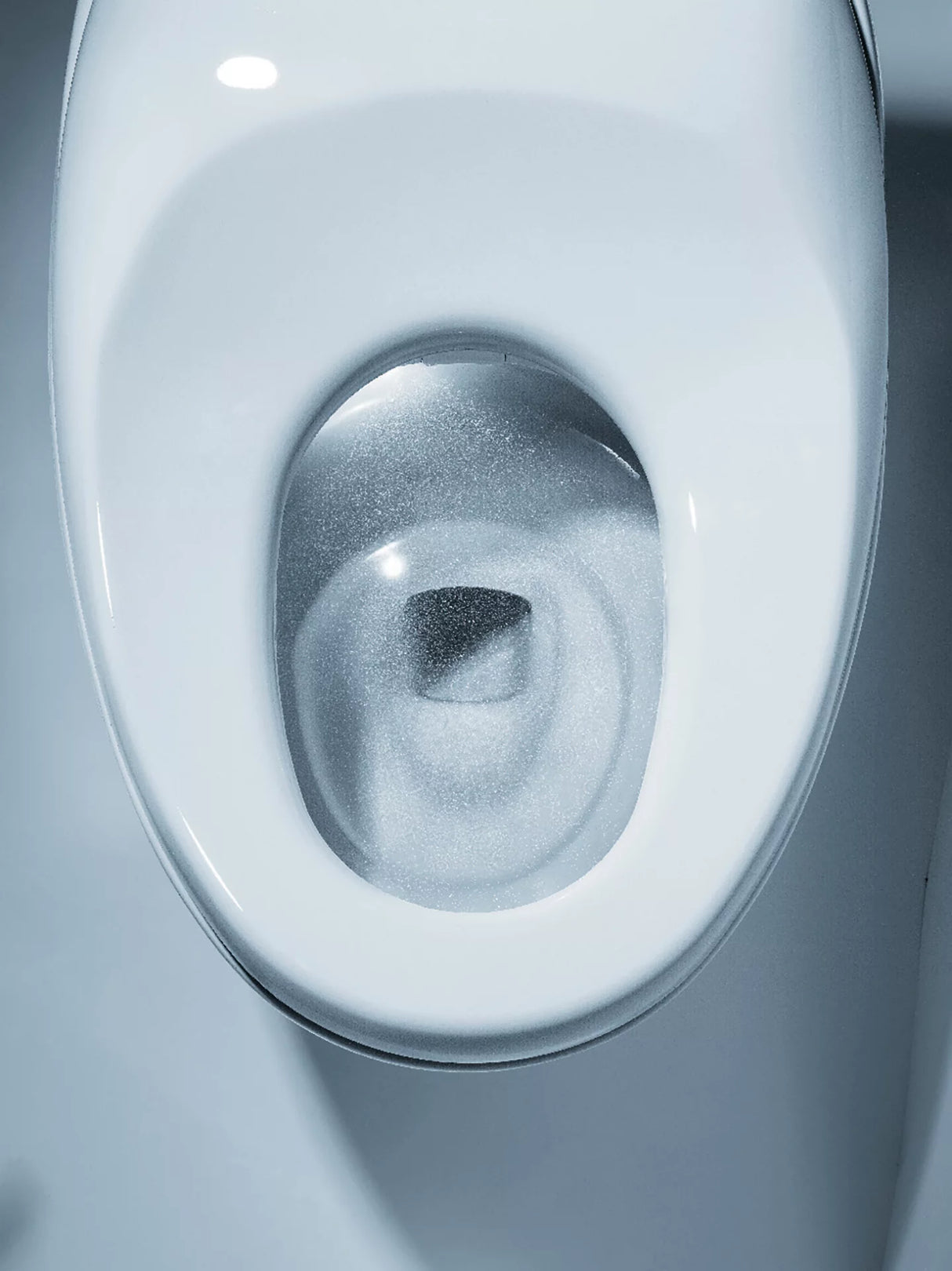 NEOREST NX1 Dual Flush Toilet - 1.0 GPF & 0.8 GPF
