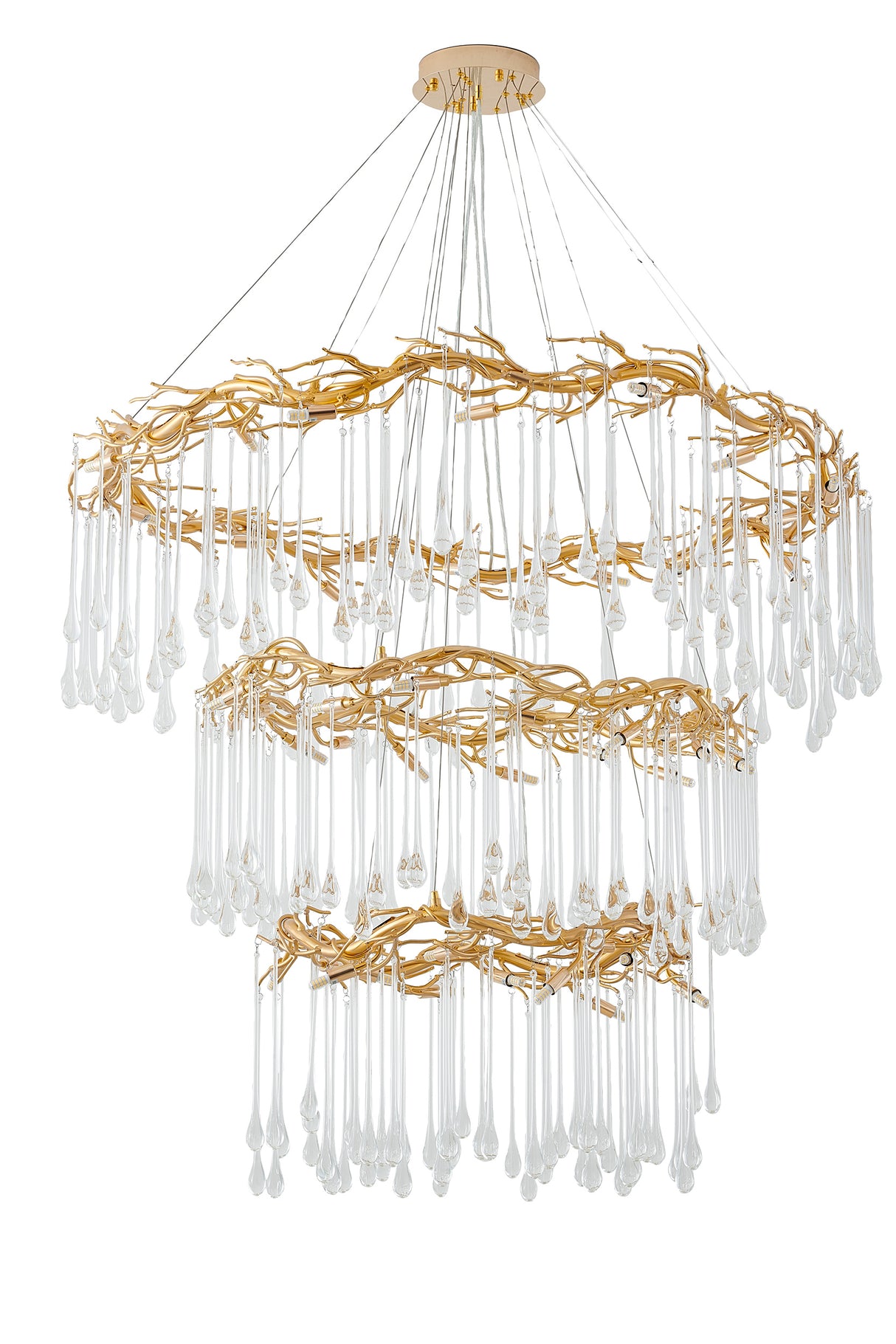 Chandelier CN21C24G