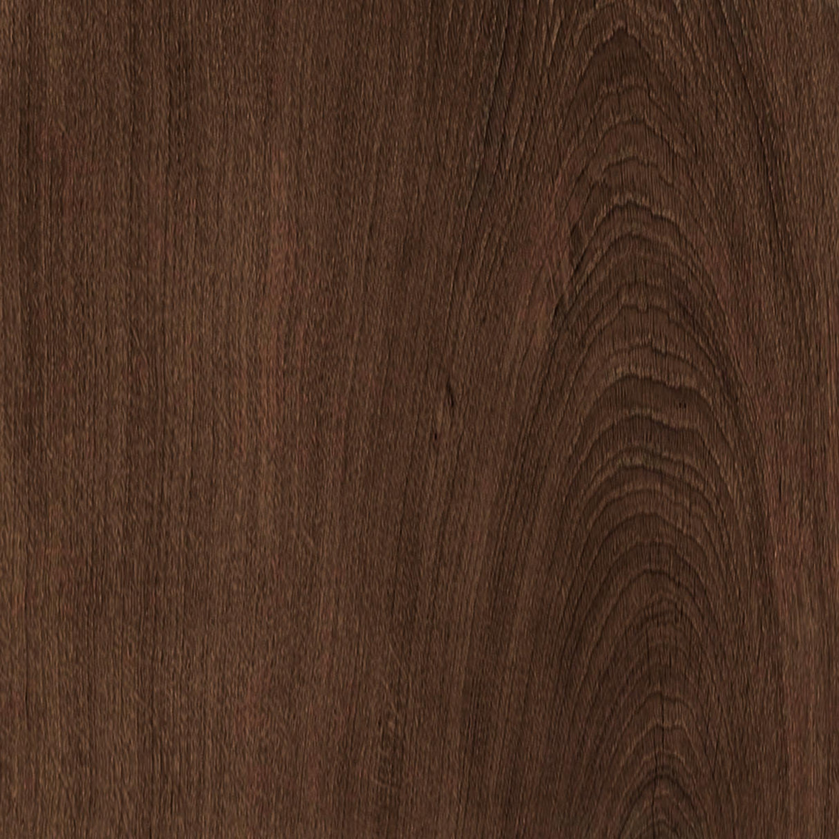 Alora Mood Dottie 60-in Linear Pendant