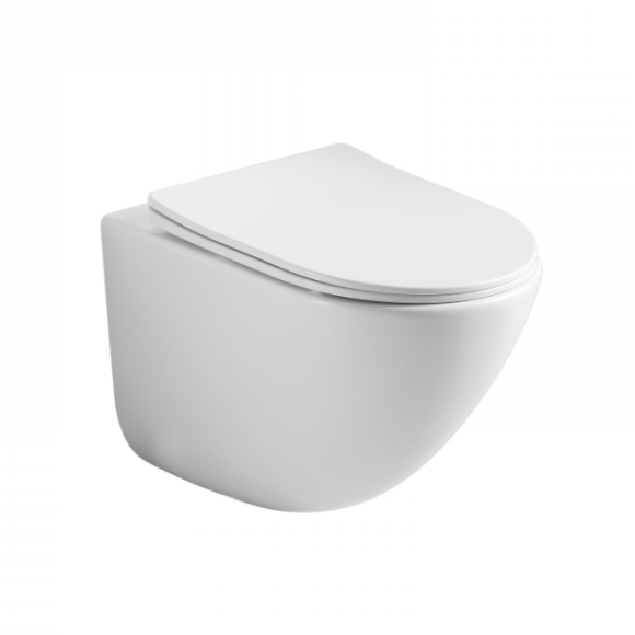 Wall hung bishop white artivea toilet