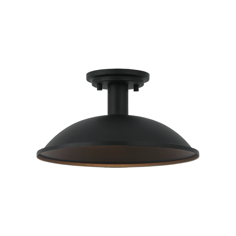 Matteo Ceiling Mount X81901