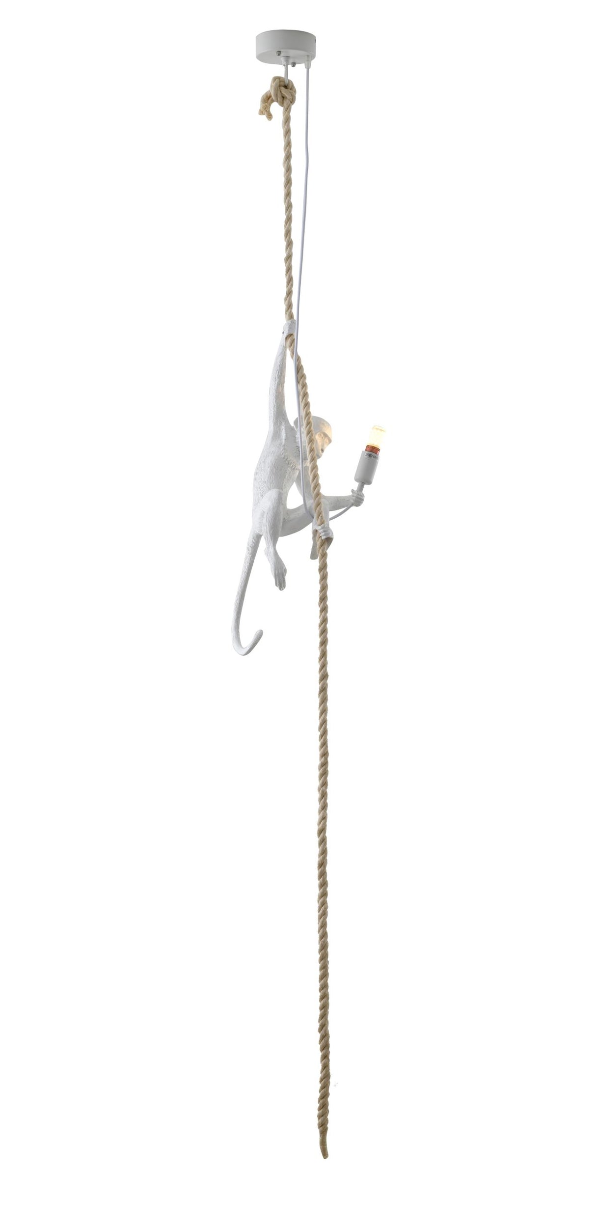Pendant DLS76P9W