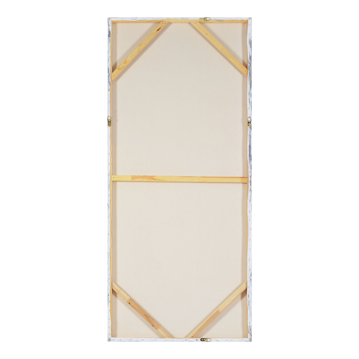 AQUARIUS 30" W x 70" H x 1.5" D