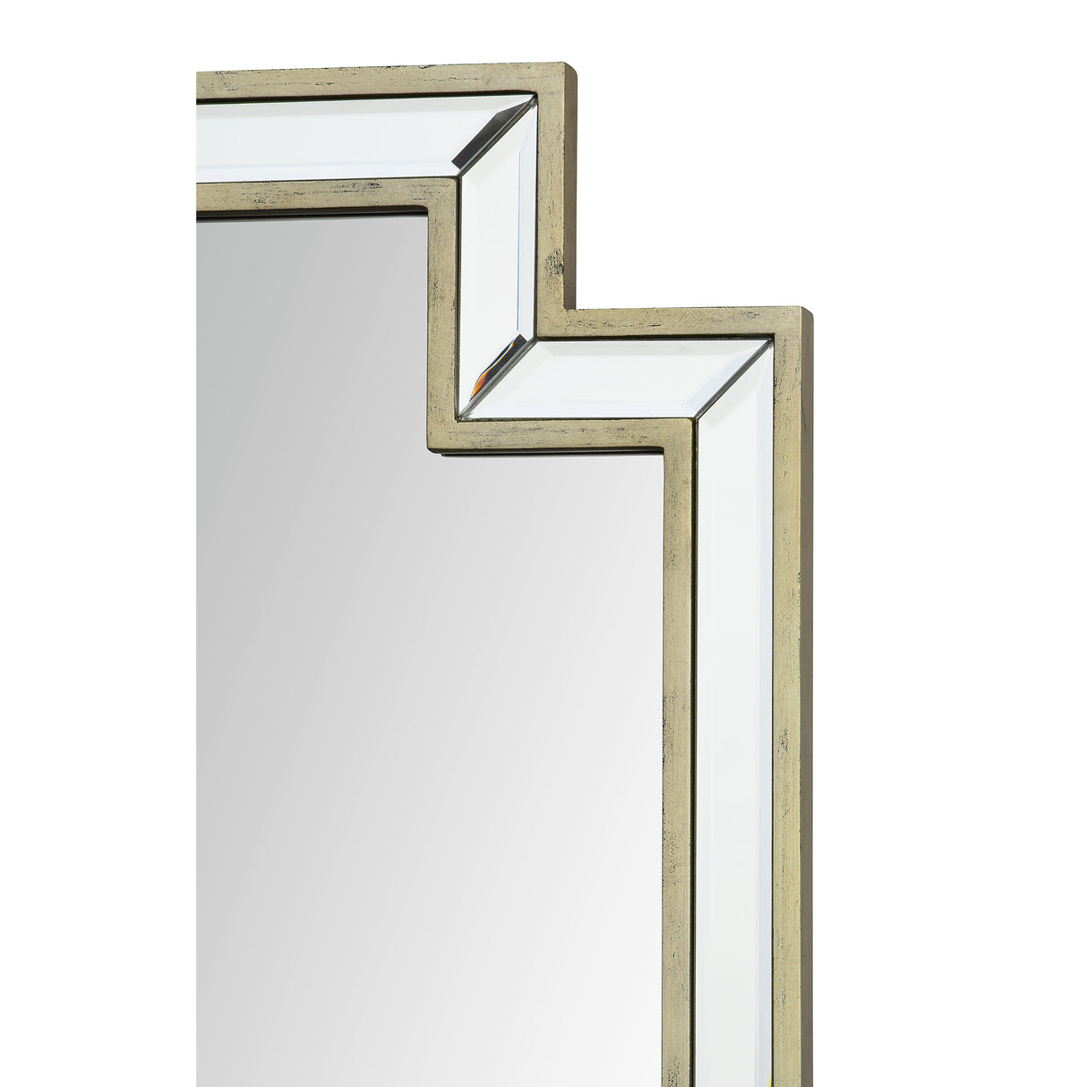 Raton 24" W x 40" H x 0.75" D