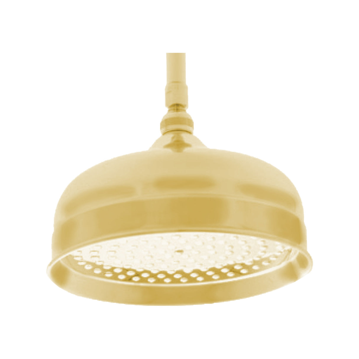 Shower Head KN121010