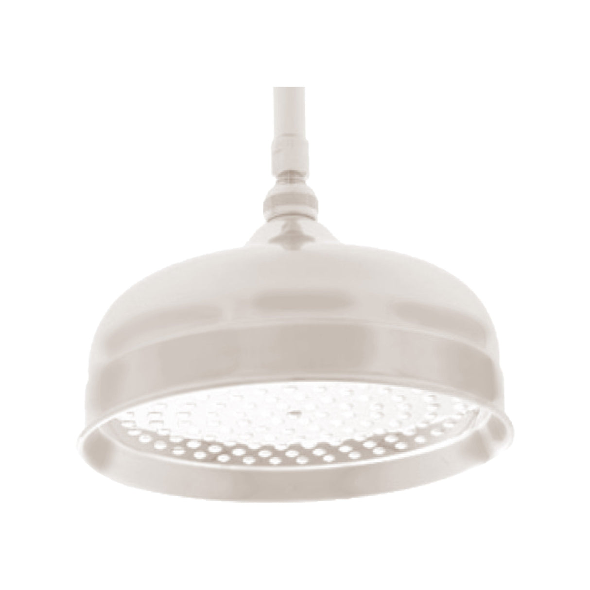 Shower Head KN121010