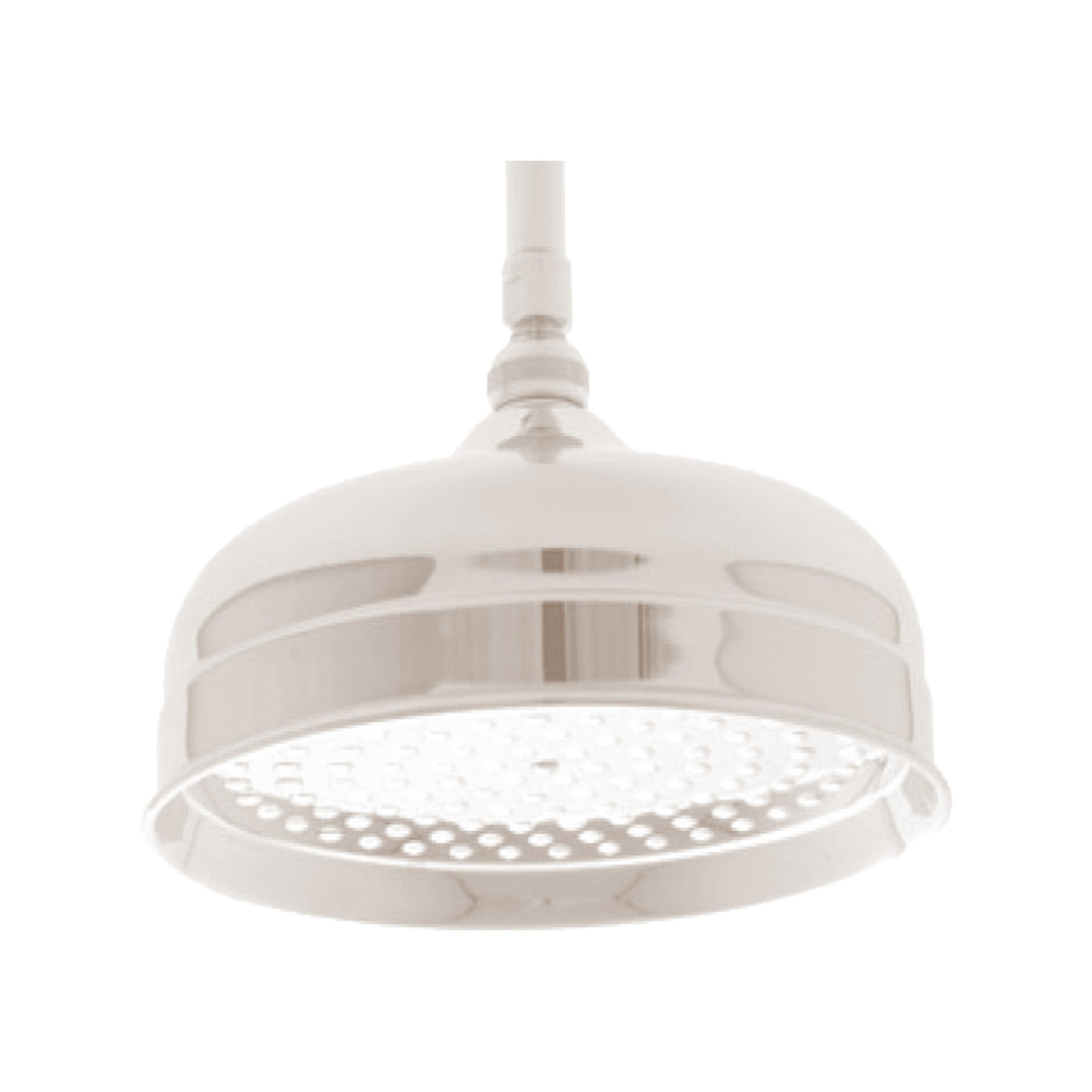 Shower Head KN121010