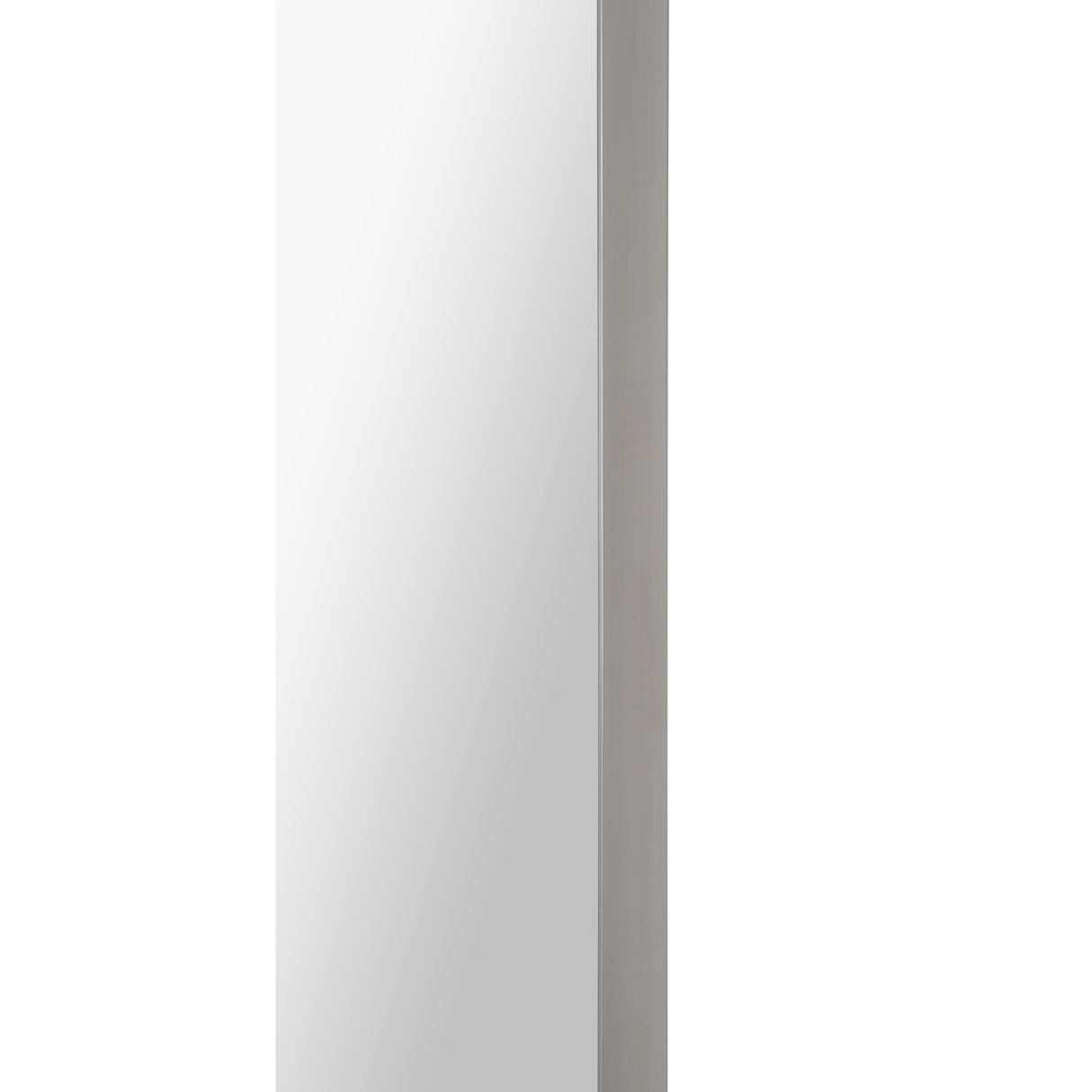 DELPHINUS 20" W x 46" H x 1" D
