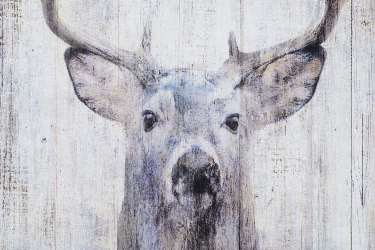 Gaze 24" W x 36" H x 2" D
