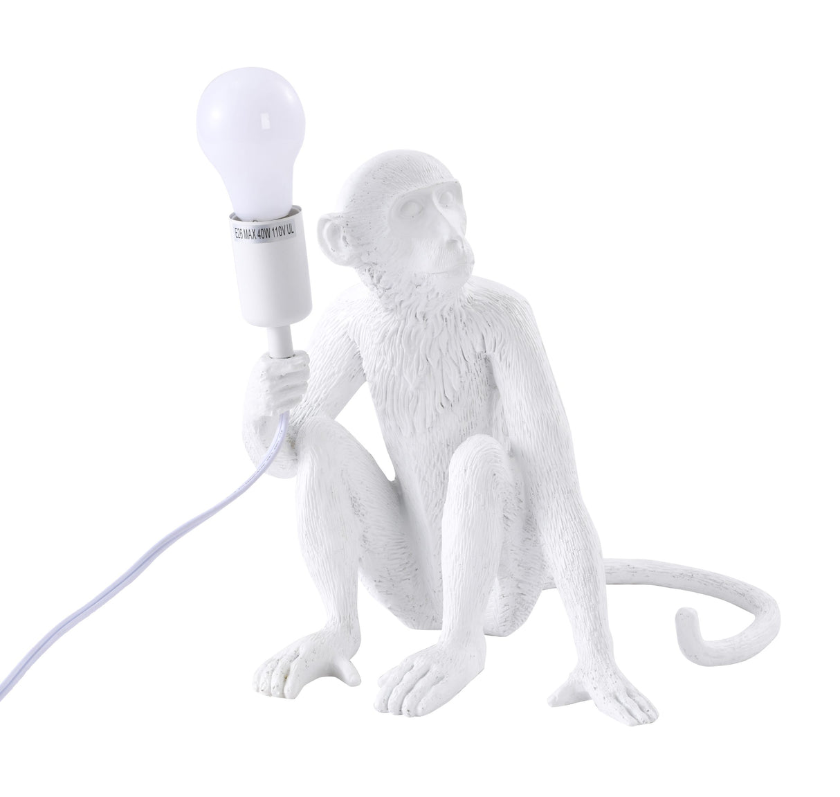 Table Lamp DLS77T13W