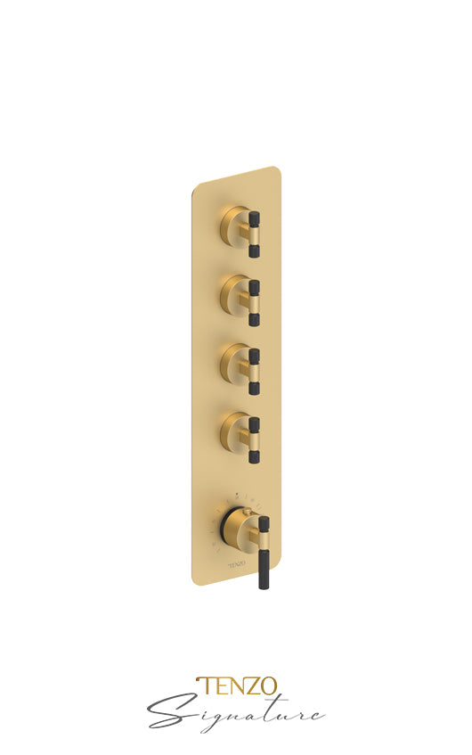 Extenza valve 4 fcts thermo Bellacio-F brushed gold