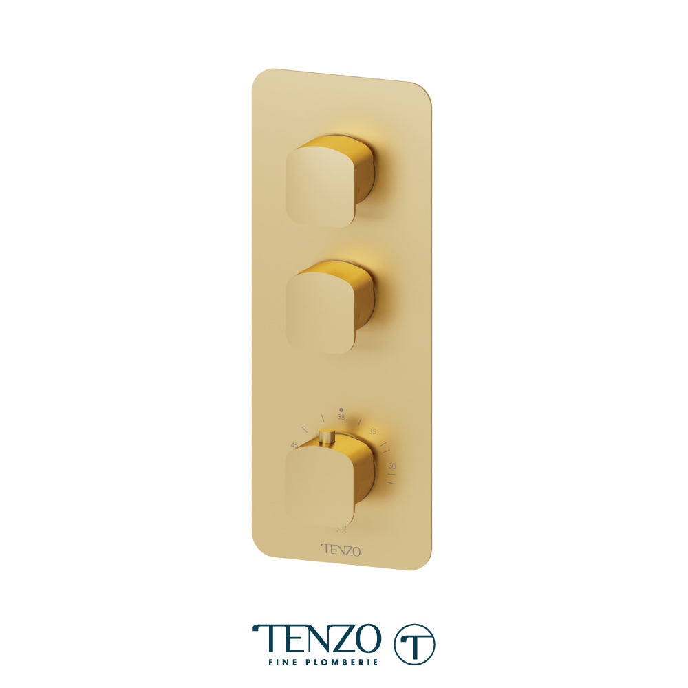 Extenza valve trims Delano thermo. 2 functions