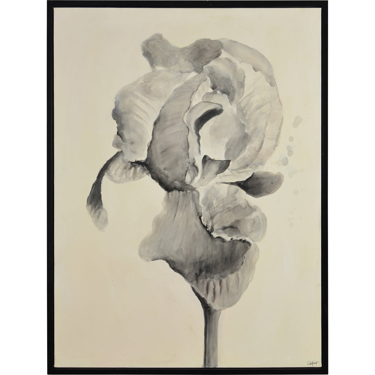 Bardet 37.5" W x 50" H x 1.5" D