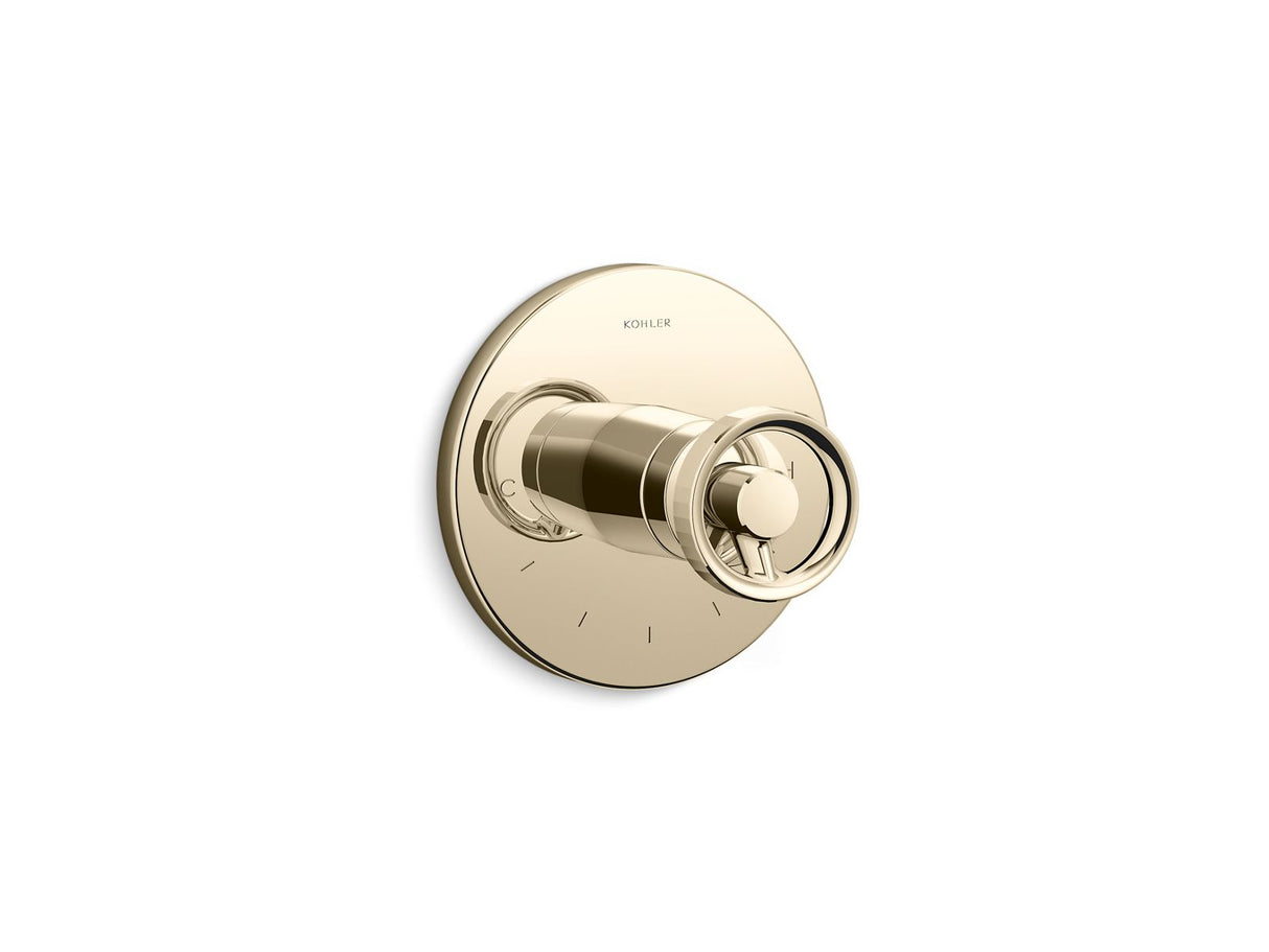 Components® MasterShower® temperature control valve trim with Industrial handle