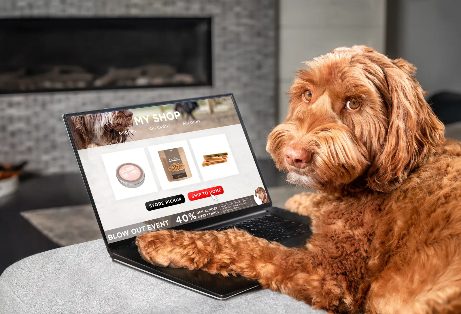 Shopper adding a bathroom fixture to an online cart on a laptop to reveal the price