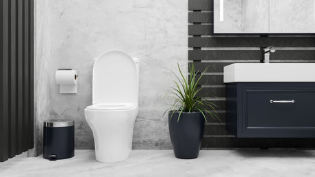 One-Piece Toilets