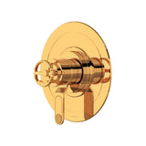Armstrong 1/2" Therm & Pressure Balance Trim With 2 Functions