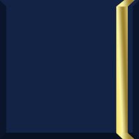 MUSE Metal Trim Wallhung 36-in Single Basin Vanity