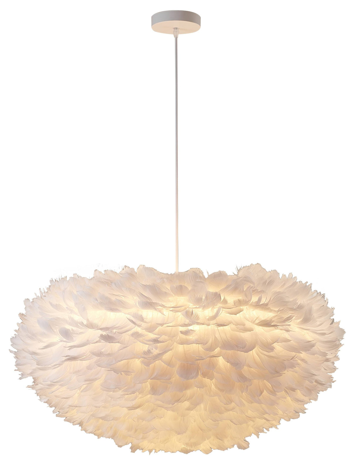 Chandelier DLS20C25W