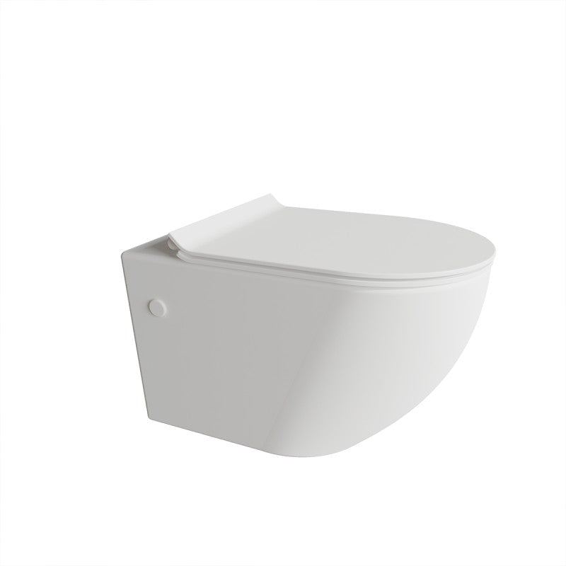 Edgar Wall Hung Toilet