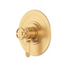 Armstrong 1/2" Therm & Pressure Balance Trim With 5 Functions