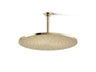 Contemporary Round 14” single-function rainhead, 2.5 gpm