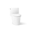 Veil® One-piece elongated toilet with skirted trapway, dual-flush