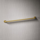 Contemporary 42" grab bar
