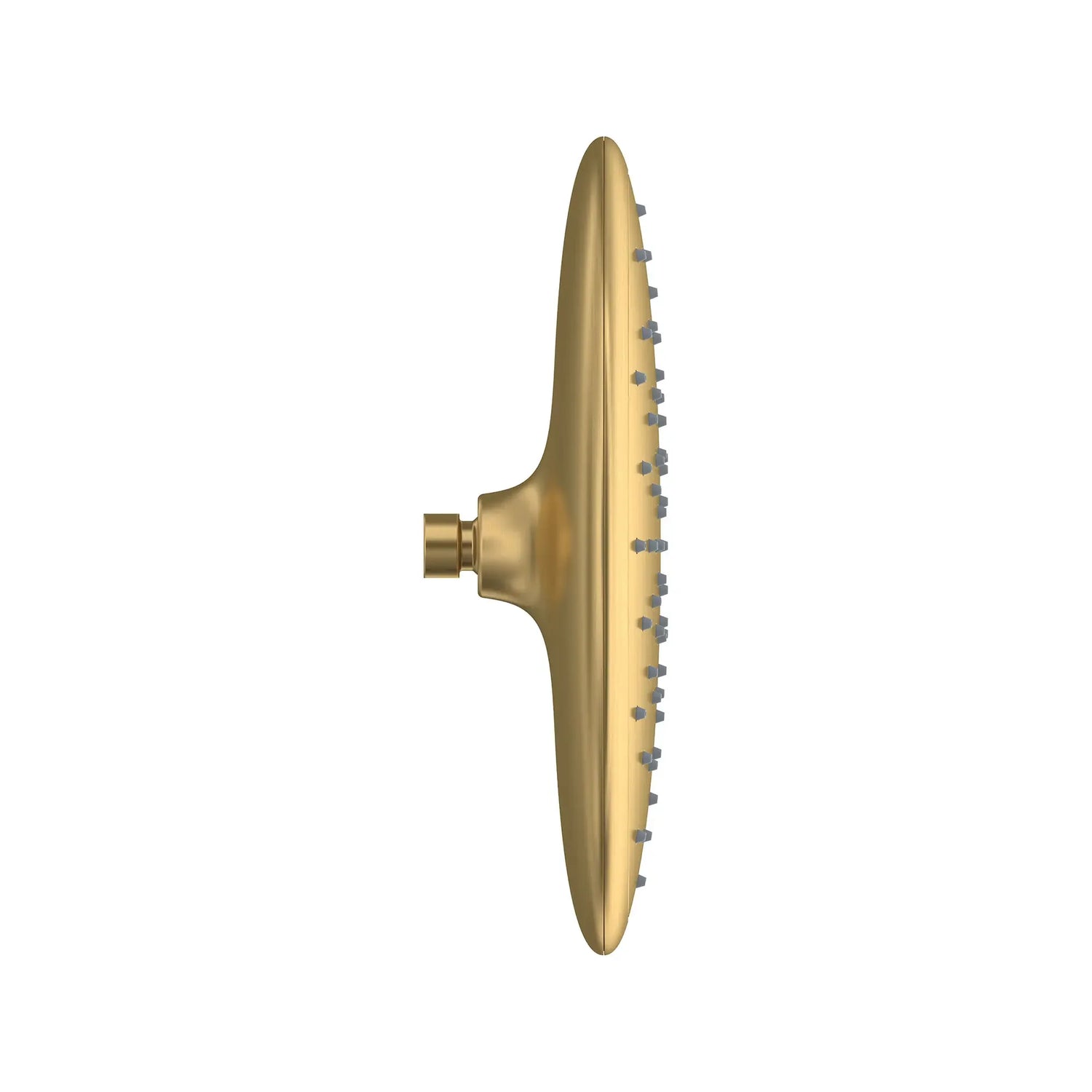 Spectra® Rain 11-Inch 1.8 gpm/6.8 L/min Water-Saving Rain Showerhead
