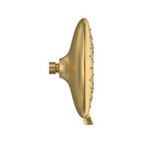 Spectra® Fixed 7-Inch 1.8 gpm/6.8 L/ min Fixed Showerhead