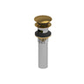 Universal Clicker Drain 500101004
